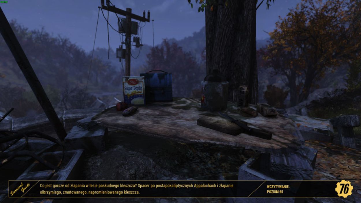 
Obraz przedstawia postapokaliptyczną scenę z widokiem na prowizoryczny stół lub platformę, na której leżą różne przedmioty, otoczoną zniszczonym środowiskiem.

Na centralnym planie znajduje się drewniana platforma, na której leżą: pudełko z napisem "Sage Broth", kilka warzyw (prawdopodobnie pomidory i jabłka), niebieska skrzynka, pistolet oraz inne drobne przedmioty.

W tle widać pień dużego drzewa, a także słup energetyczny lub telegraficzny z wiszącymi przewodami i transformatorem, co wskazuje na zrujnowane elementy infrastruktury. Krajobraz jest częściowo zalesiony, z drzewami o liściach w odcieniach jesiennych (czerwienie, brązy), co nadaje scenie melancholijny charakter. Niebo jest ciemne, sugerując zmierzch lub noc.

Na dole ekranu widoczny jest interfejs gry z tekstem w języku polskim: "Co jest gorsze od złapania w lesie paskudnego kleszcza? Spacer po postapokaliptycznych Appalachach i złapanie olbrzymiego, zmutowanego, napromieniowanego kleszcza." Po prawej stronie widnieje napis "WCZYTYWANIE. POZIOM 65" i logo z cyframi "76".