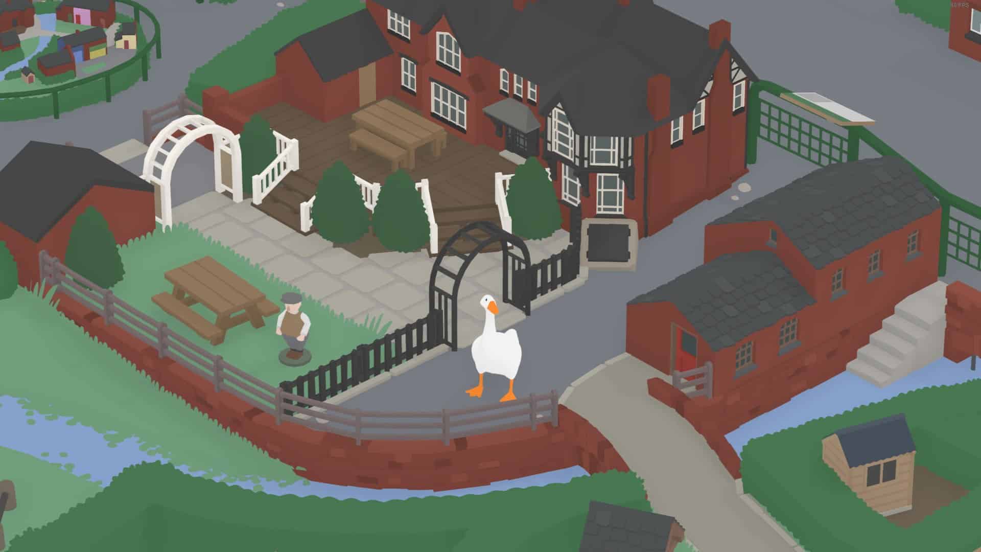 Gęś olbrzym w (nie)wielkim mieście