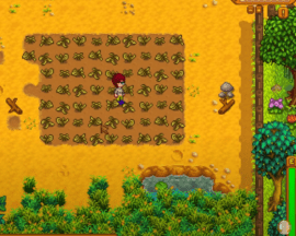 Stardew Valley 1.5 – wyczekiwana aktualizacja już w drodze!