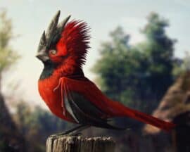 Nowa gra od CD Projekt Red już w przygotowaniu