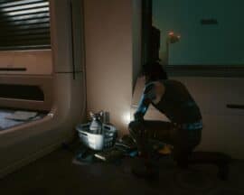W Cyberpunk 2077 możemy przygarnąć kotka