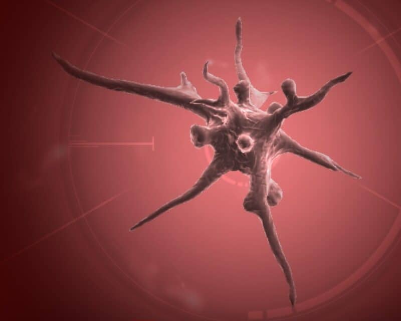 Screen Plague Inc. - wirus