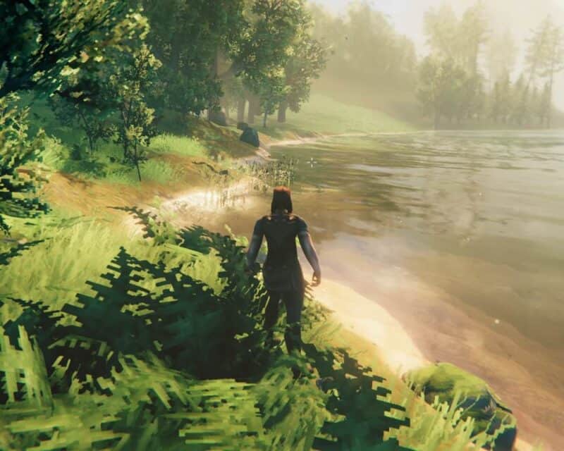 Kadr z gry Valheim postać paproć woda