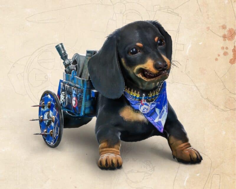 Niepełnosprawny piesek stał się gwiazdą nadchodzącego Far Cry 6