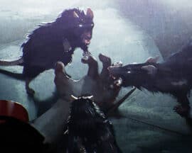 Realistyczne szczury w A Plague Tale: Requiem
