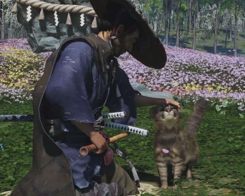 Jin Sakai głaszcze kotka w Ghost of Tsushima Director's Cut
