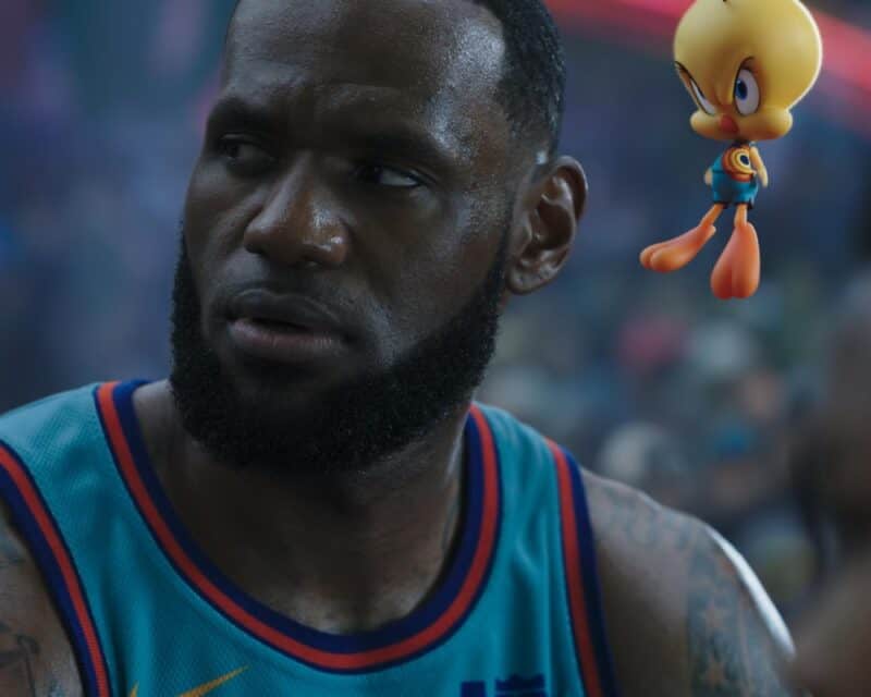 Zdjęcie - Lebron James i Tweety, Fortnite skórka
