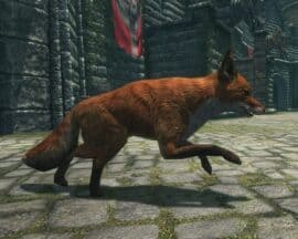Czy lisy w The Elder Scrolls V:  Skyrim faktycznie prowadzą do skarbów i tajemnic?