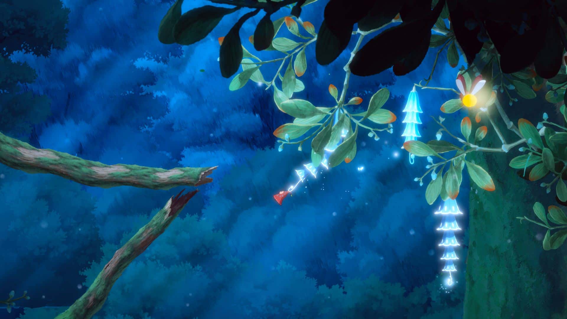 Hoa przeskakująca między kwiatami