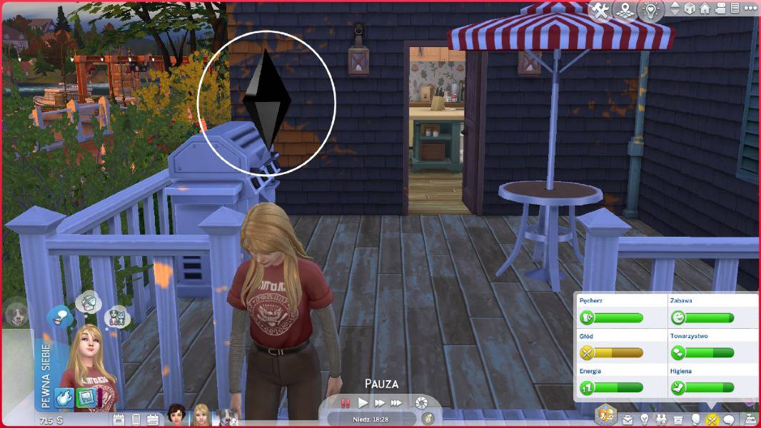Skyrim The Sims 4 czarny kryształ