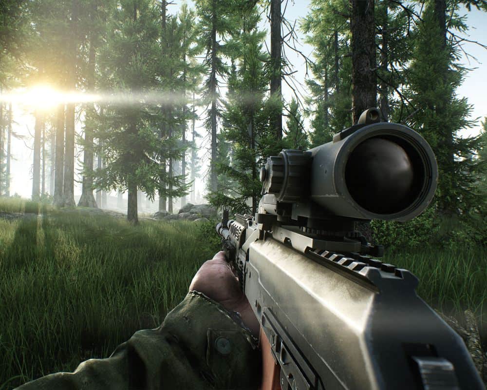 Zrzut ekranu z gry FPS przedstawiający widok z perspektywy pierwszej osoby – gracz trzyma karabin z lunetą w gęstym, nasłonecznionym lesie iglastym, a promienie słońca przebijają się przez drzewa i wysoką trawę.