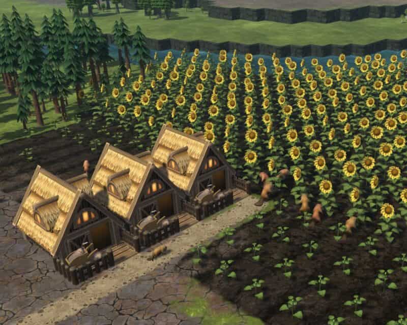 Język ukraiński w Timberborn – screen z obrazka promującego aktualizację, słoneczniki