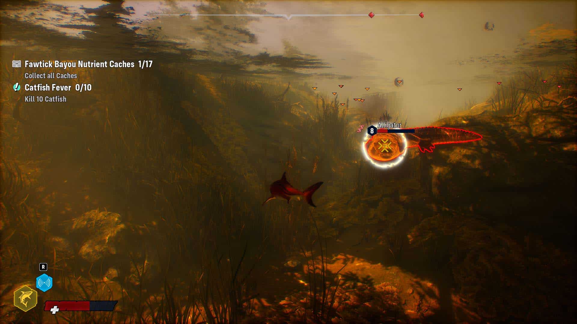 Mały rekin atakuje dwa razy większego od siebie aligatora, aligator ma odgryzione przednie kończyny