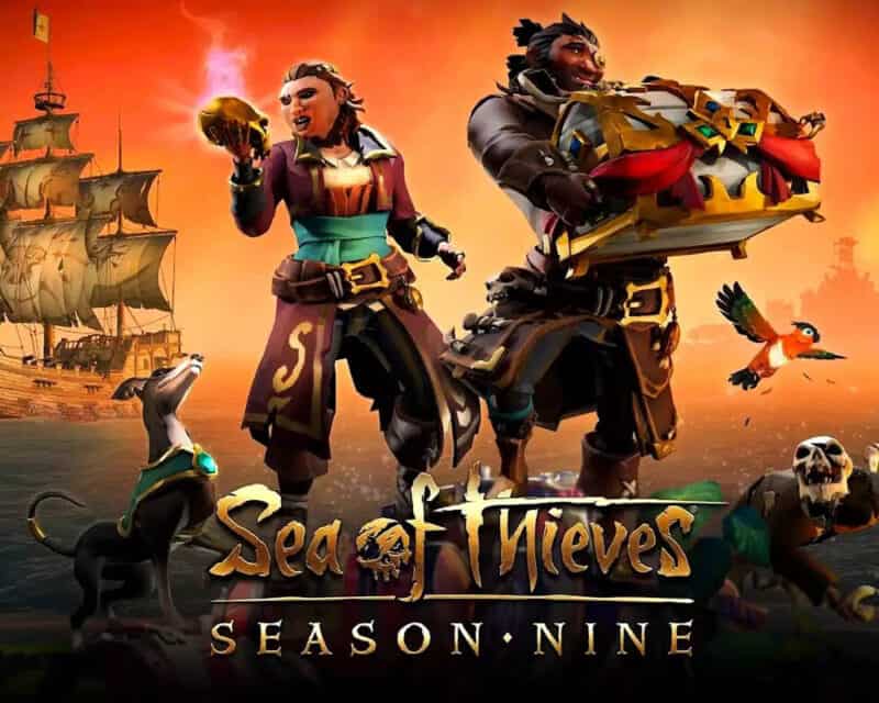 Na obrazku widać dwoje piratów, podziwiających łupy. Obok nich znajdują się także pies, szkielet oraz papuga. W tle widać statek płynący po morzu oraz położone w oddali wyspy. Na dole znajduje się napis – Sea of Thieves Season 9.