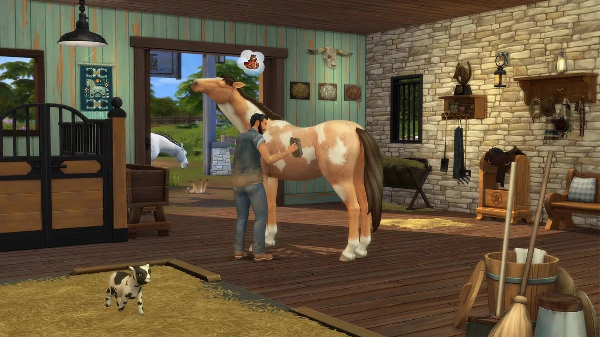 The Sims 4 Horse Ranch Stadnica koni - zrzut ekranu, widzimy brązowego konia w białe ciapki z środku stadniny