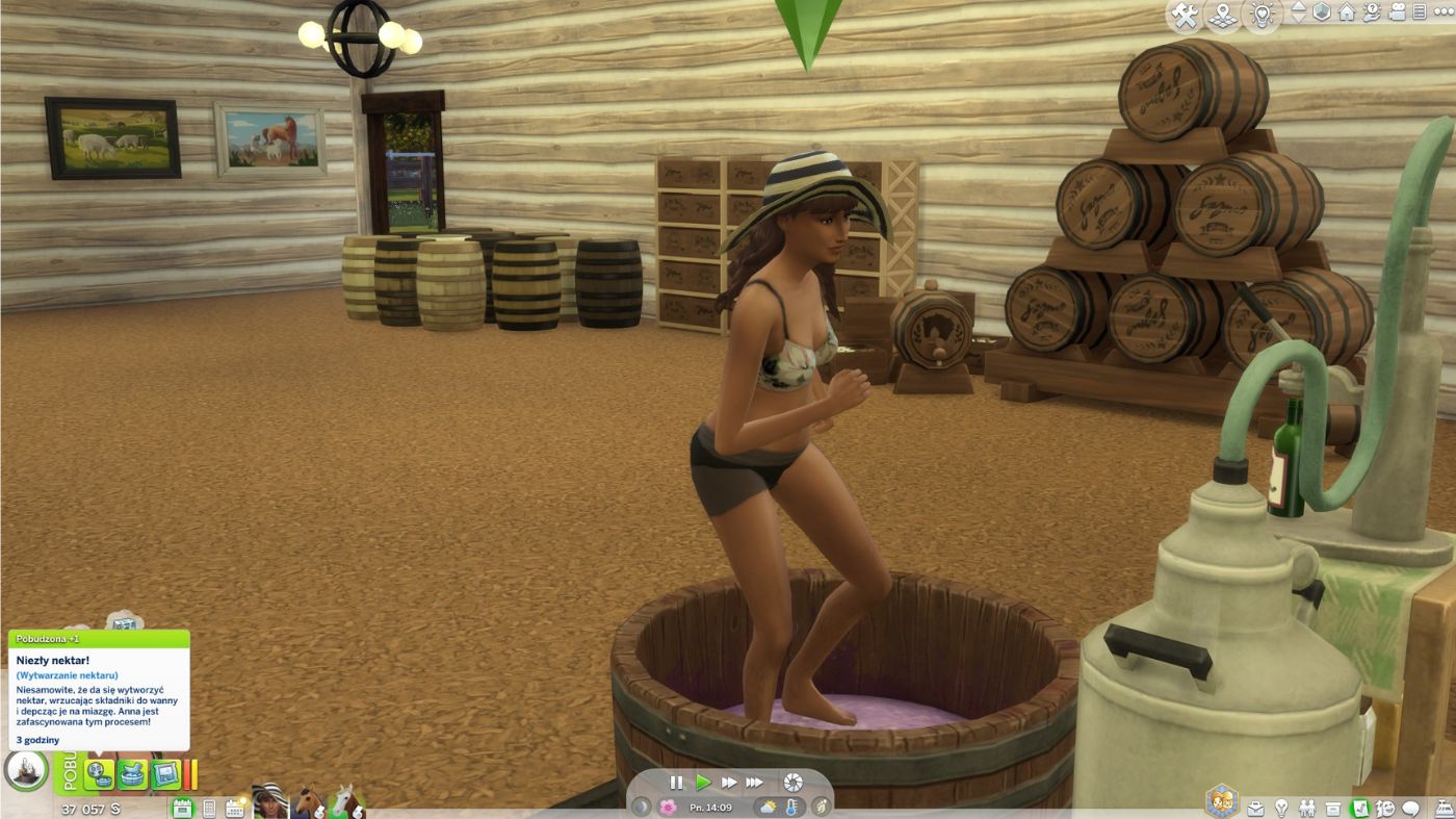 The Sims 4 Ranczo - kobieta stoi w balii z nektarem i wydeptuje owoce, w tle widać stojaki, w których przechowywane będą nektary, całość jest w zadaszonej stodole