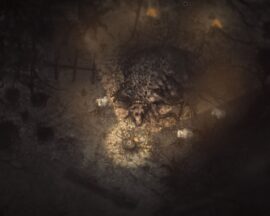 Acid Wizard Studio zawiesza działalność na czas nieokreślony