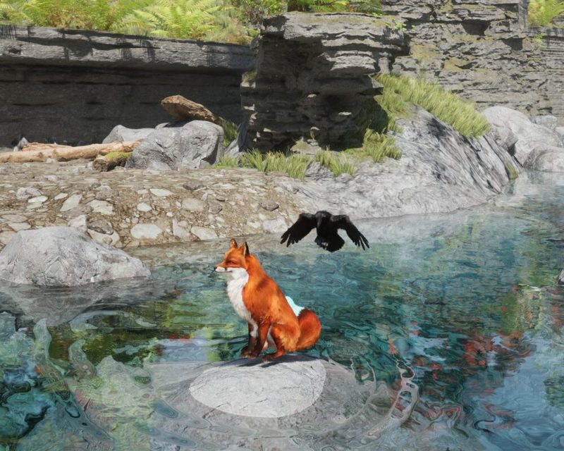 Zwiastun Spirit of the North 2 – zrzut ekranu z gry, lis siedzący na kamieniu w rzece, nad nim kruk z rozłożonymi skrzydłami