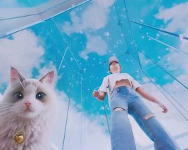 Aktualizacja inZOI przynosi ze sobą święto Halloween!