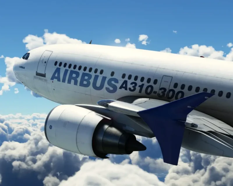 Grafika z gry Microsoft Flight Simulator