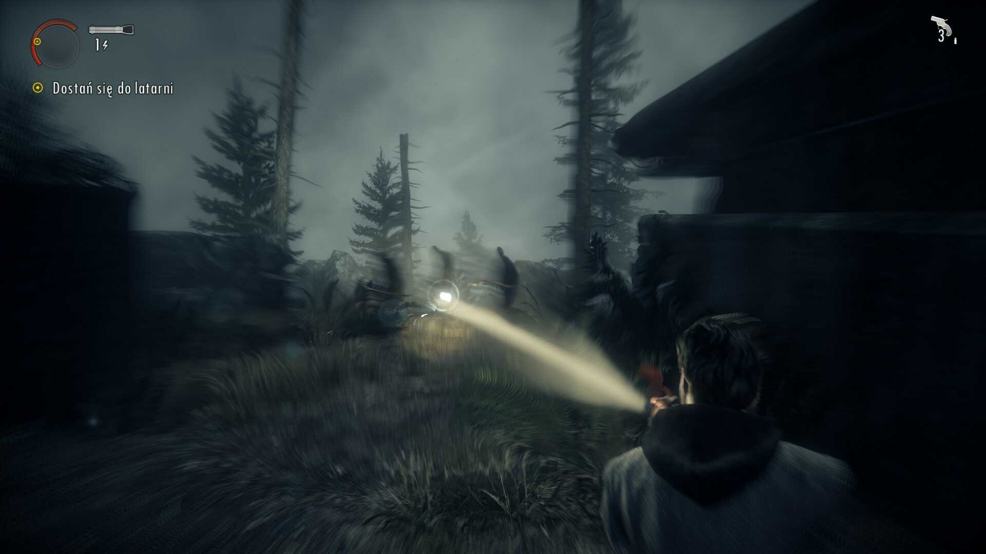 Zrzut ekranu przedstawia Alana świecącego latarką prosto w cienistą istotę. 