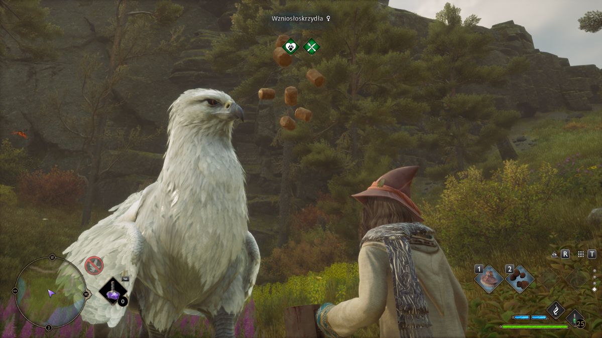 Hogwarts Legacy - widzimy białego hipogryfa, samiczkę o imieniu Wzniosłoskrzydła. Podajemy jej pokarm.
