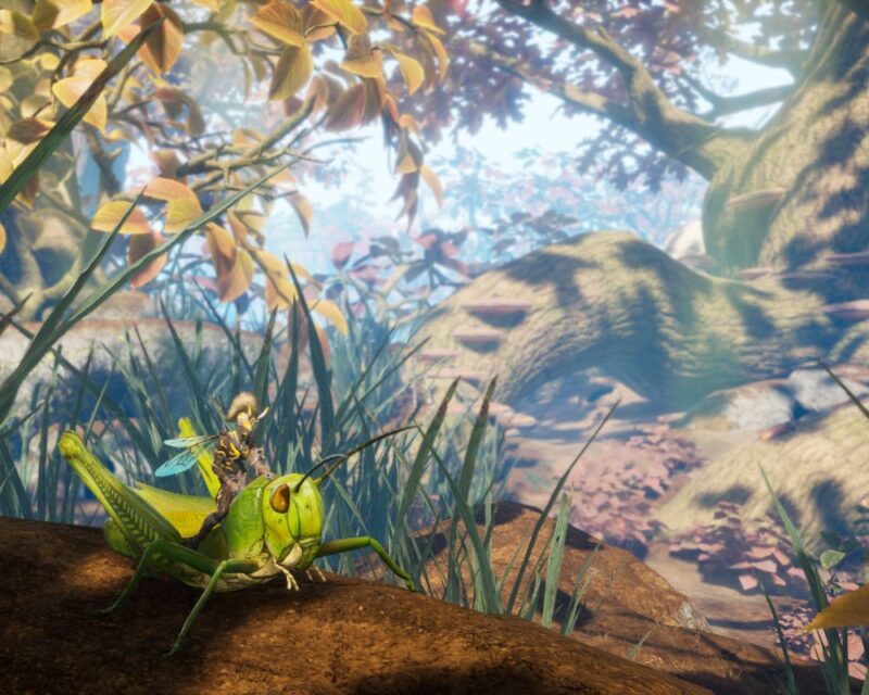Grafika z gry Smalland: Survive the Wilds. Na obrazku widacć postać w zbroi osy, która dosiada konika polnego. W tle widaoczne konary drzew, kamienie, liście. Jest słonecznie. Na drugim planie zielone źdźbła trawy.