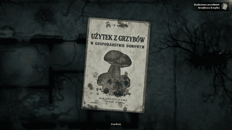 Darkwood recenzja