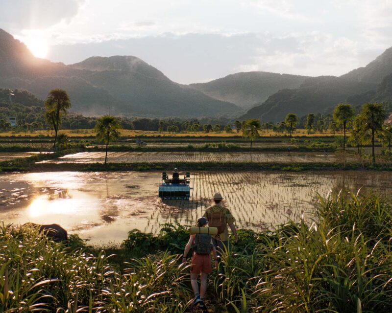 Grafika promująca grę Farming Simulator 25. Widzimy widok roztaczający się na pola ryżowe w Azji Wschodniej.