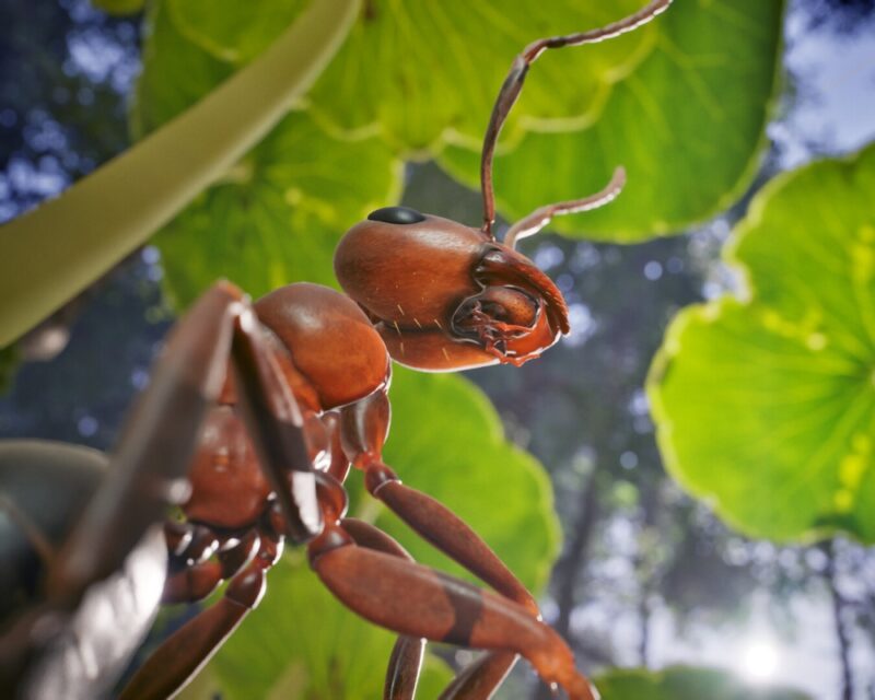 Grafika z gry Empire of the Ants przedstawiająca mrówkę pod liściem