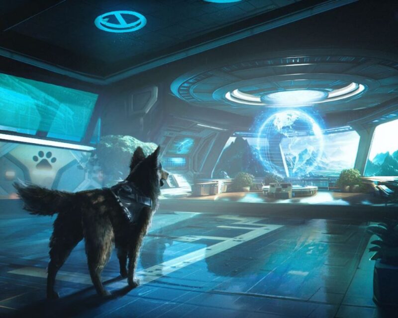 Zapowiedź gry Barkour, na grafice widzimy tytuł gry z odciskiem łapy obok litery B, pod spodem datę premiery zapowiedzianą na 2025 rok na premiery PC + konsole, w tle po lewej bliżej widza widać psiaka patrzącego w dal, stoi w niebieskim futurystycznym pomieszczeniu wypelnionym elektroniką