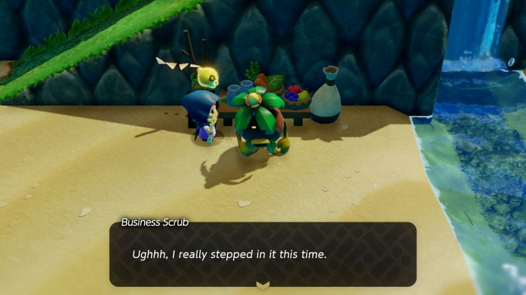 Zelda jest na plaży, rozmawia ze sklepikarzem, który wygląda jak roślina. Obok wodospad i przedmioty na sprzedaż. 