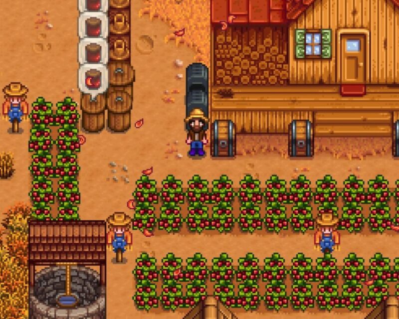 Obrazek przedstawia farmę w grze komputerowej, której grafika zbudowana jest z widocznych, kwadratowych pikseli. Na farmie znajduje się drewniany dom z zielonymi okiennicami, beczki ustawione w rzędzie oraz studnia.Widać również rzędy krzewów z czerwonymi owocami gotowymi do zbiorów, a na polu znajduje się farmer i 3 strachy na wróble. Całość utrzymana jest w jesiennej atmosferze