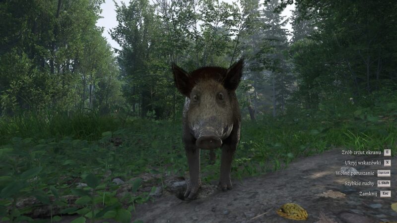 Dziś stoi w środku lasu.