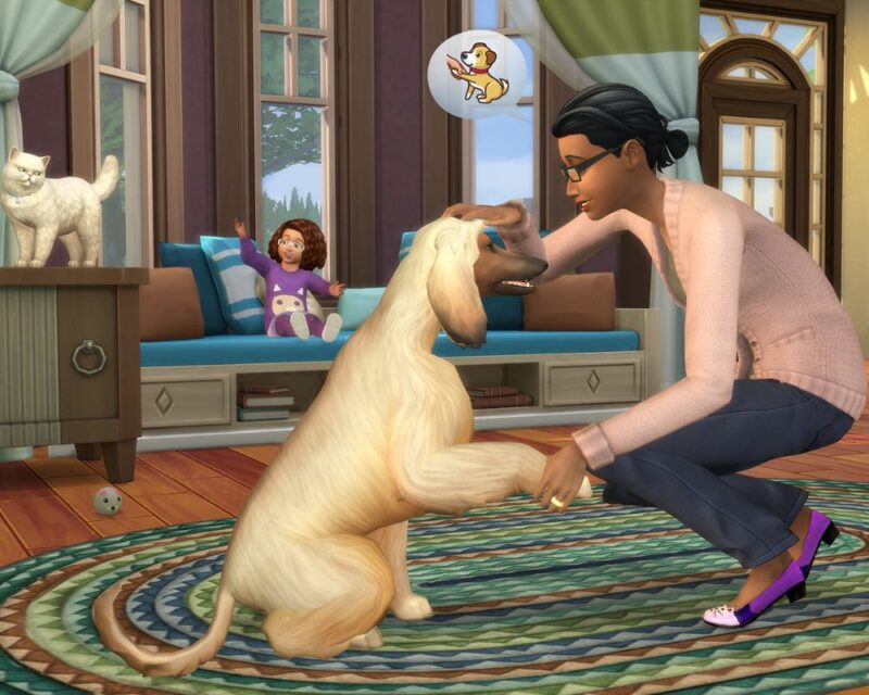 Na obrazku widzimy scenę z gry The Sims 4, pochodzącą prawdopodobnie z dodatku Psy i Koty. W centralnej części kobieta w okularach, różowym swetrze i ciemnych spodniach klęczy na dywanie i wchodzi w interakcję z psem o długiej, jasnej sierści – prawdopodobnie afgańskim chartem. Kobieta uśmiecha się i głaszcze psa po głowie, jednocześnie trzymając jego łapę. Nad jej głową pojawia się dymek z ikoną psa wykonującego sztuczkę, co sugeruje, że uczy go nowych komend. W tle na ławce siedzi mała dziewczynka w fioletowej piżamce z nadrukiem kota. Wygląda na podekscytowaną i podnosi ręce do góry. Obok niej znajdują się niebieskie poduszki. Po lewej stronie na komodzie stoi biały kot z puszystym ogonem, a na podłodze leży piłka dla zwierząt. Wnętrze jest przytulne, z drewnianą podłogą, zielono-niebieskim dywanem i dużymi oknami, przez które wpada naturalne światło. Okna są ozdobione zielonymi i niebieskimi zasłonami, a w tle widać drzewa i niebo. Całość prezentuje ciepłą, rodzinną atmosferę, w której Simowie spędzają czas ze swoimi zwierzakami.