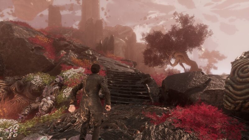 Kamienna droga wokół której rosną czerwone i białe rośliny, na horyzoncie widać ruiny i drzewo. Na drodze stoi mężczyzna