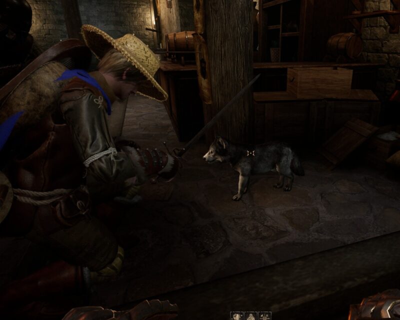 Dark and Darker zniknie z bibliotek, na obrazku pokazany fragment rozgrywki, ciemniejsze miejsca, wilk lub pies na celowniku, obok postaci, którą kierujemy nasz towarzysz czyli inny gracz, jesteśmy w jakieś karczmie