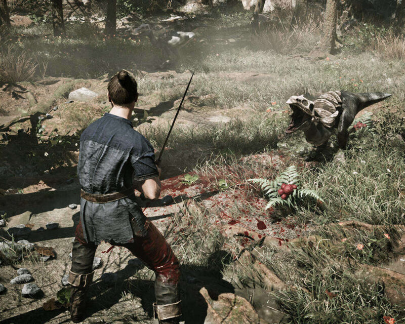 Na obrazku widać scenę walki w leśnym, zarośniętym otoczeniu, utrzymaną w stylistyce gry komputerowej. Główny bohater, stojący tyłem do widza, jest młodym mężczyzną ubranym w poszarpaną, ciemnoniebieską koszulę lub tunikę i brązowo-czerwone spodnie, częściowo ubrudzone krwią. Trzyma w ręku cienki miecz lub szpadę. Jest zwrócony w stronę dziwnego, przypominającego z wyglądu szkielet jaszczurczego potwora z otwartą paszczą, który atakuje go z prawej strony. Pomiędzy nimi, na ziemi pokrytej trawą, znajduje się kałuża i ślady krwi oraz roślina paproci z czerwonymi owocami lub kwiatami. Tło jest mgliste i jasne, sugerując światło słoneczne przebijające się przez drzewa. Scena jest dynamiczna i pełna napięcia.