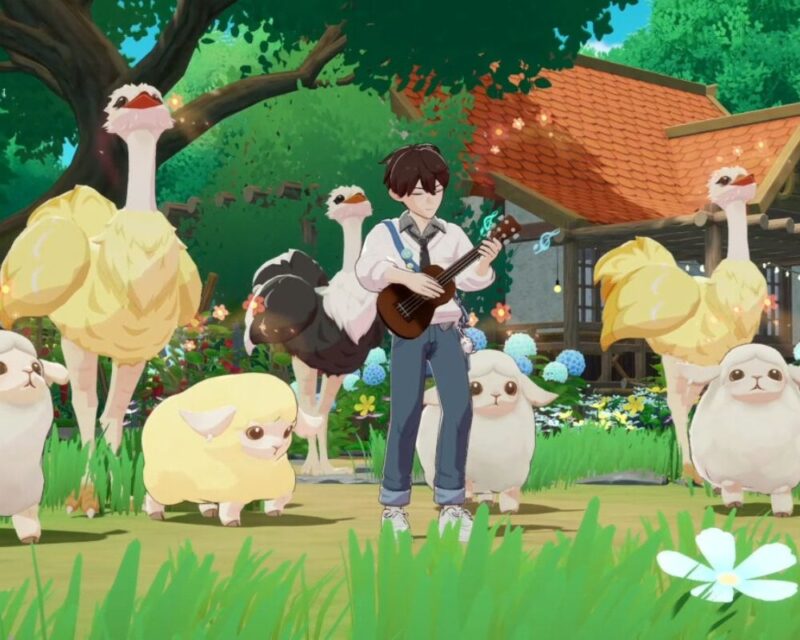 Starsand Island, młody chłopiec grający na gitarze na zielonej polance, na której pasą się owce i stoją strusie, w tle znajdują się drzewa z zielonymi liśćmi, drewniany domek z czerwonym dachem