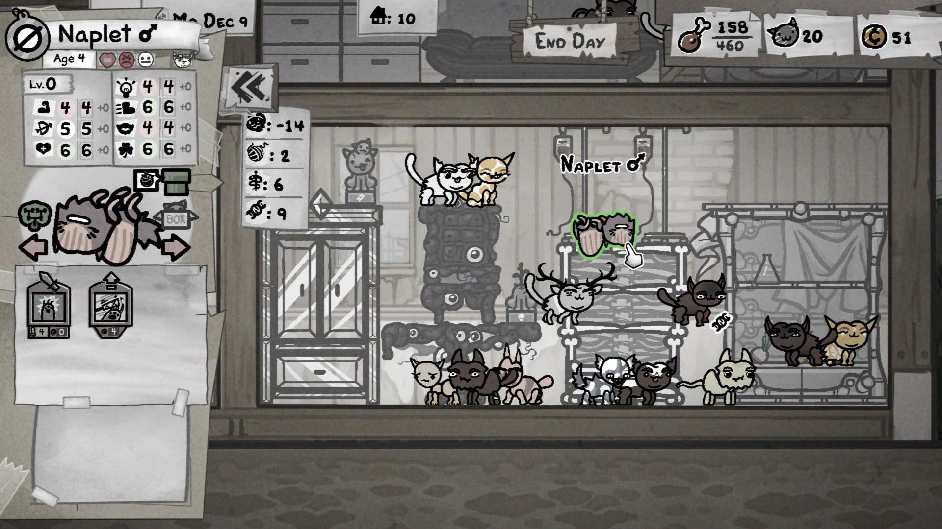 Hodowla kotów. W jednym pokoju widoczne jest kilkanaście kotów, wiele różnego rodzaju mebli i statystyki komfortu kotów w danym pokoju