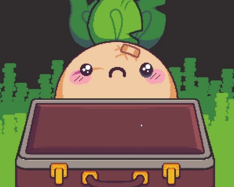 Pixel artowy kadr z gry przedstawia smutnego Turnip Boya zaglądającego do otwartej, pustej walizki. Bohater ma na czole plastry, a w tle widać zielone, spikselowane krzaki.